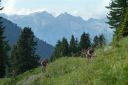 009_Tag1_Zur_Weidener_Huette.JPG