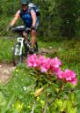 Filename=Dolotrails_149.jpg
Filesize=130KiB
Dimensions=732x1024
Date added=Jul 21, 2014 Dolotrails_149.jpg