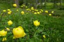 Filename=Dolotrails_152.jpg
Filesize=134KiB
Dimensions=1024x684
Date added=Jul 21, 2014 Dolotrails_152.jpg