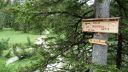 Filename=Dolotrails_262.jpg
Filesize=216KiB
Dimensions=1024x576
Date added=Jul 21, 2014 Dolotrails_262.jpg