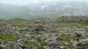 Filename=Dolotrails_291.jpg
Filesize=155KiB
Dimensions=1024x576
Date added=Jul 21, 2014 Dolotrails_291.jpg