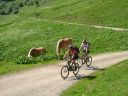 Gappenfeld_Alpe_14.JPG