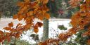 Filename=Kappler_Alm_003skal.jpg
Filesize=110KiB
Dimensions=1024x512
Date added=Oct 24, 2015 Kappler_Alm_003skal.jpg
