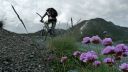 Piemont_330.jpg