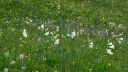 Filename=Piemont_545.jpeg
Filesize=193KiB
Dimensions=1024x576
Date added=Aug 20, 2013 Piemont_545.jpeg