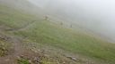 Filename=Piemont_559.jpg
Filesize=101KiB
Dimensions=1024x576
Date added=Aug 20, 2013 Piemont_559.jpg