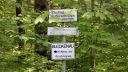 Saulingrunde_001.jpg