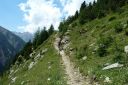 _14_Trailvergnugen_kurz_vor_Sulden.JPG
