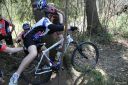 comp_MB_Training_256.jpg